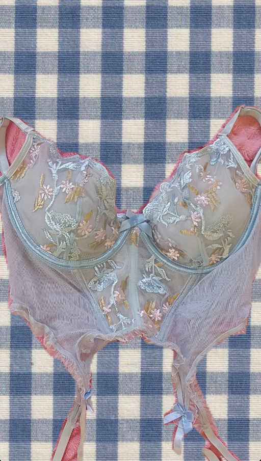 fairycore lingerie